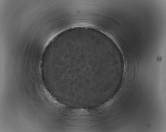 X0000111640783200907311251