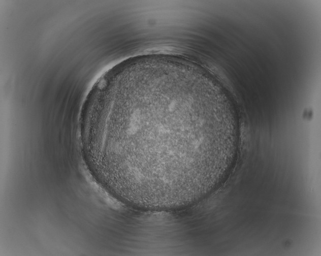 X0000111640784200907311251