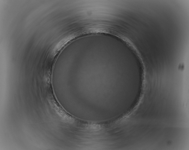 X0000111640785200907311251