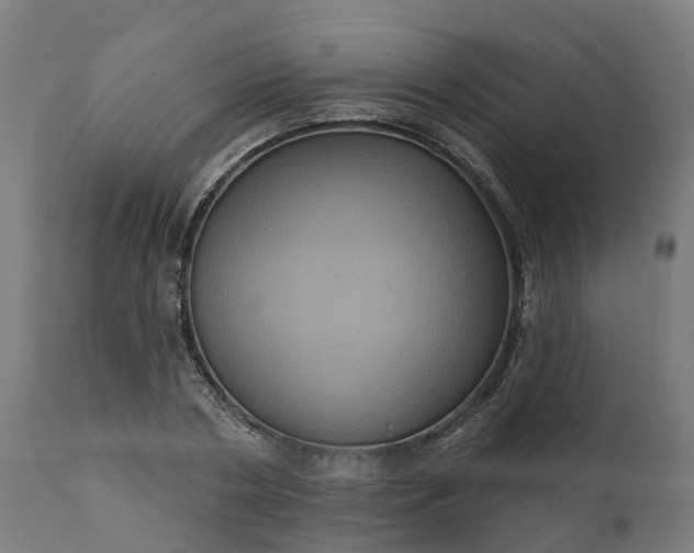 X0000111640786200907311251