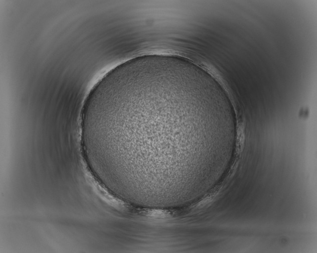 X0000111640787200907311251