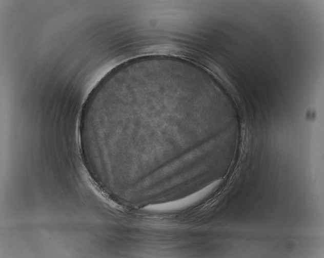 X0000111640788200907311251