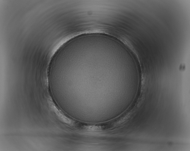 X0000111640789200907311251