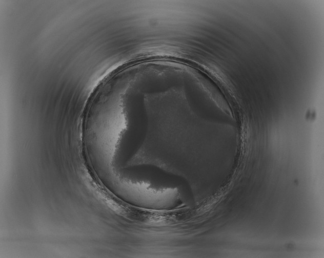 X0000111640790200907311251