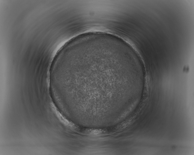 X0000111640791200907311251