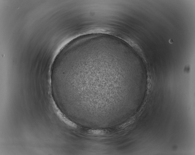 X0000111640792200907311251