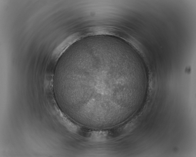 X0000111640793200907311251