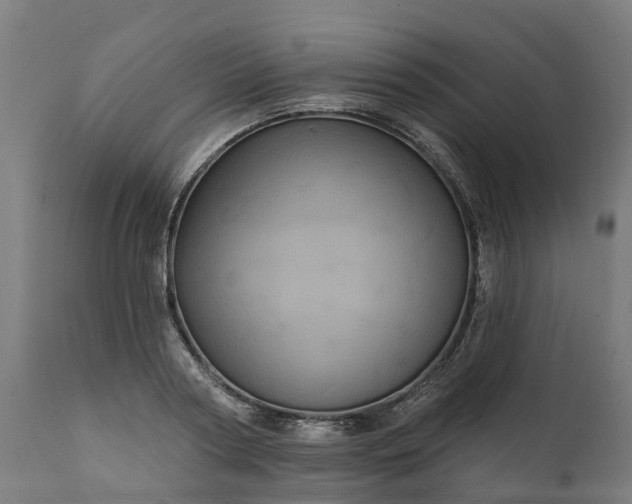 X0000111640794200907311251