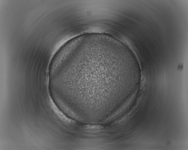 X0000111640795200907311251