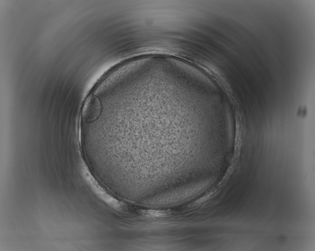 X0000111640796200907311251