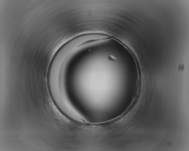 X0000111640797200907311251