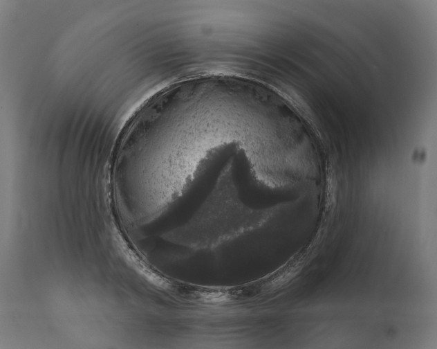 X0000111640798200907311251