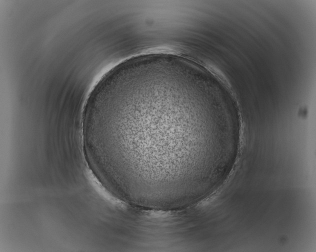 X0000111640800200907311251