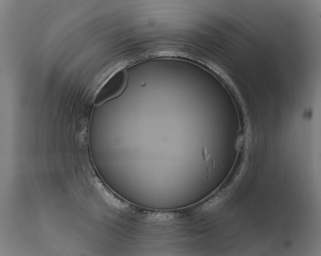 X0000111640801200907311251