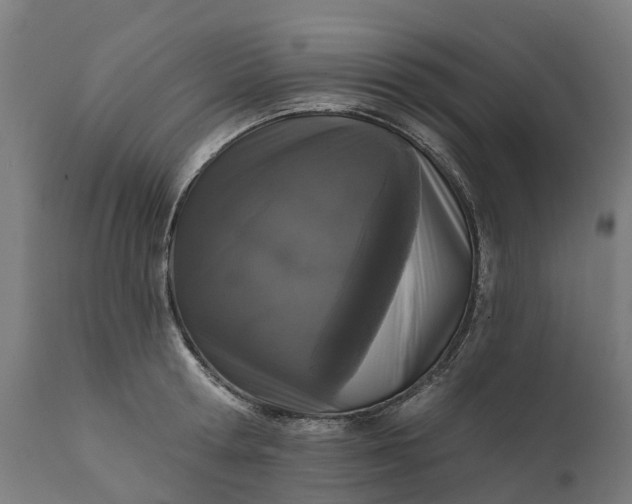 X0000111640802200907311251