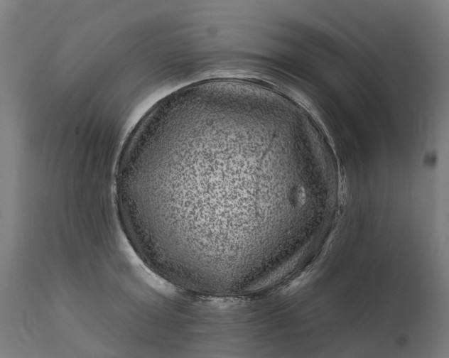 X0000111640803200907311251