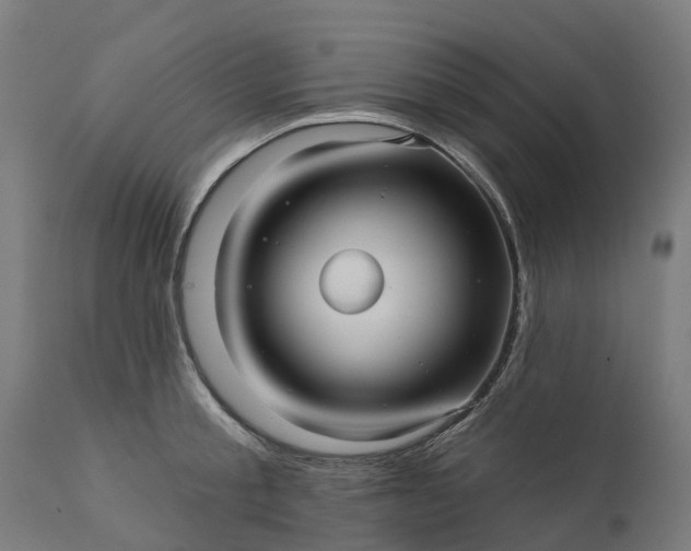 X0000111640805200907311251