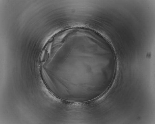 X0000111640806200907311251