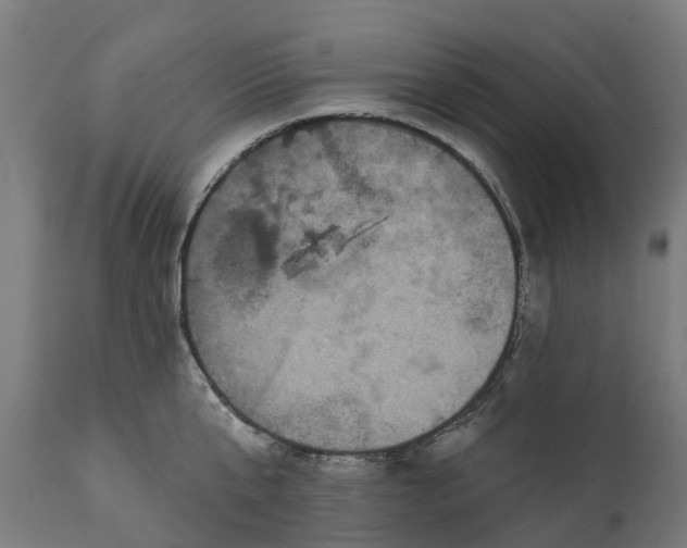 X0000111640807200907311251