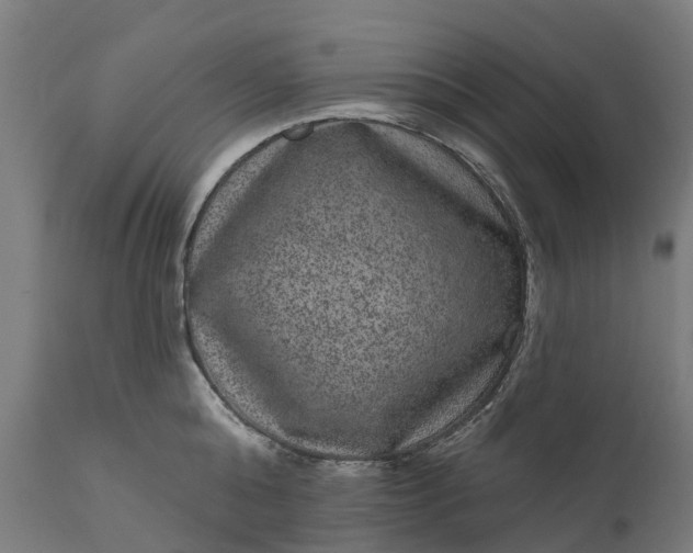 X0000111640808200907311251