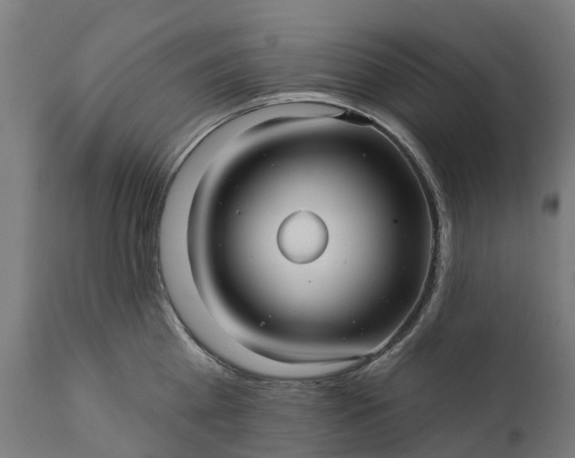 X0000111640809200907311251