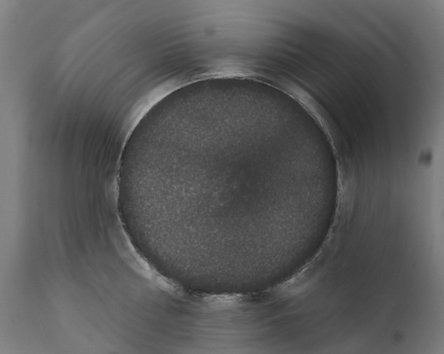 X0000111640810200907311251