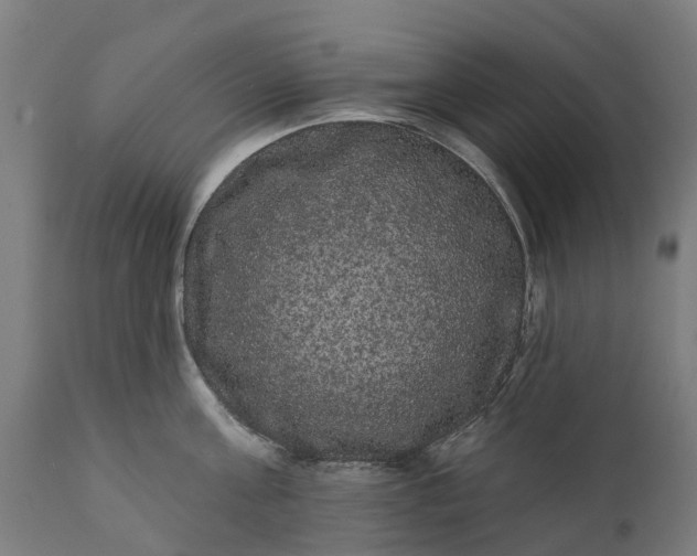 X0000111640811200907311251