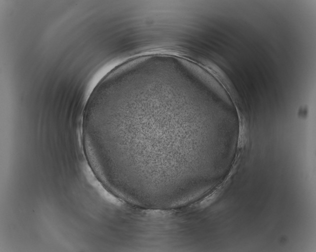 X0000111640812200907311251