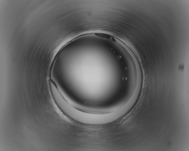 X0000111640813200907311251