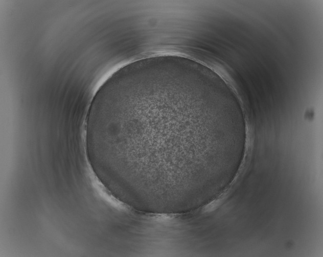 X0000111640814200907311251