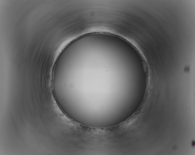 X0000111640815200907311251