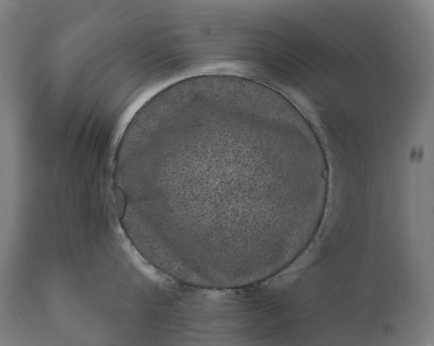 X0000111640816200907311250