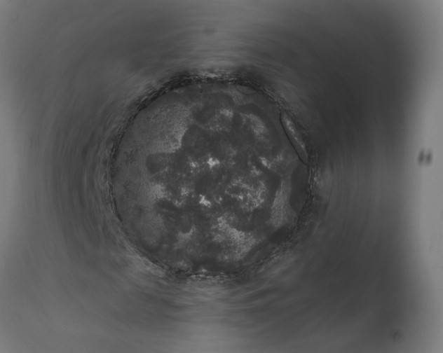 X0000111640817200907311249