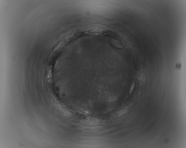 X0000111640818200907311249