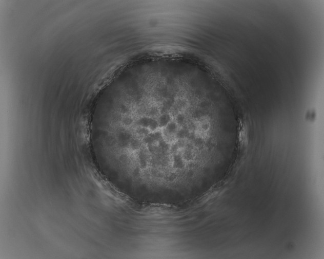 X0000111640819200907311249