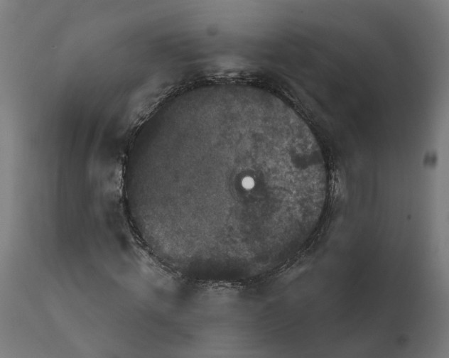 X0000111640820200907311249