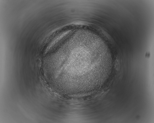 X0000111640821200907311249