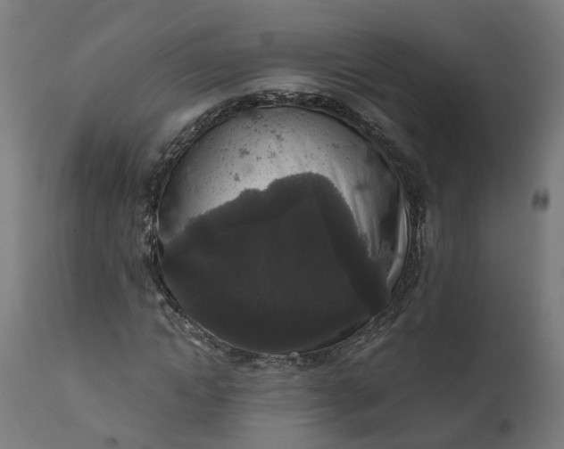 X0000111640822200907311250