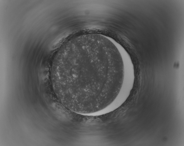 X0000111640824200907311250