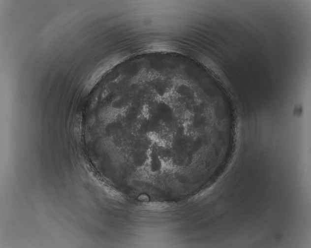 X0000111640825200907311250