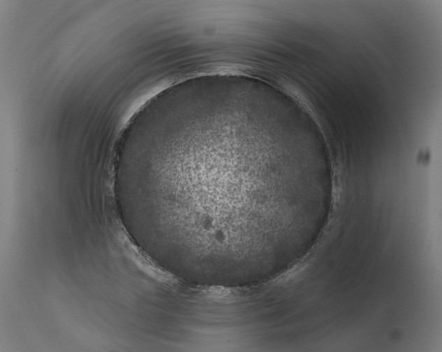 X0000111640827200907311250