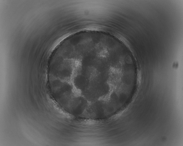 X0000111640829200907311250