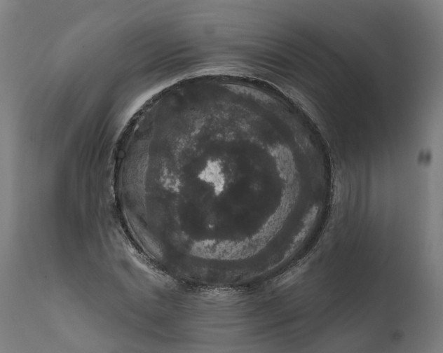 X0000111640830200907311250