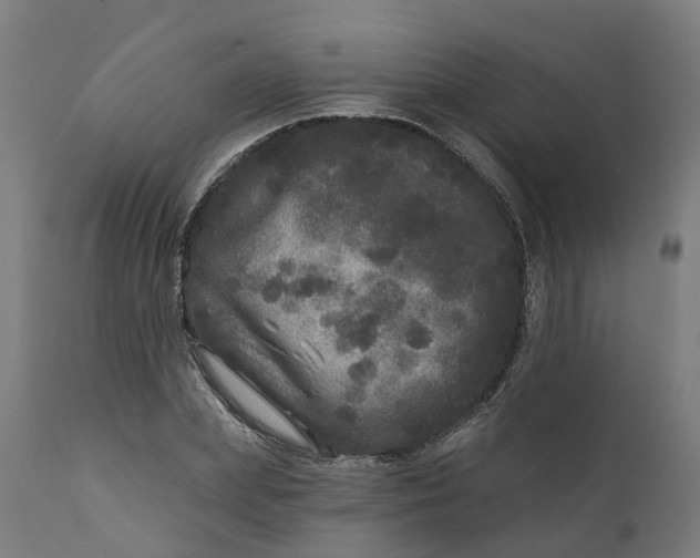 X0000111640831200907311250