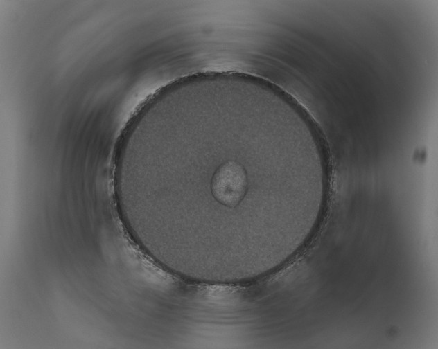 X0000111640832200907311250