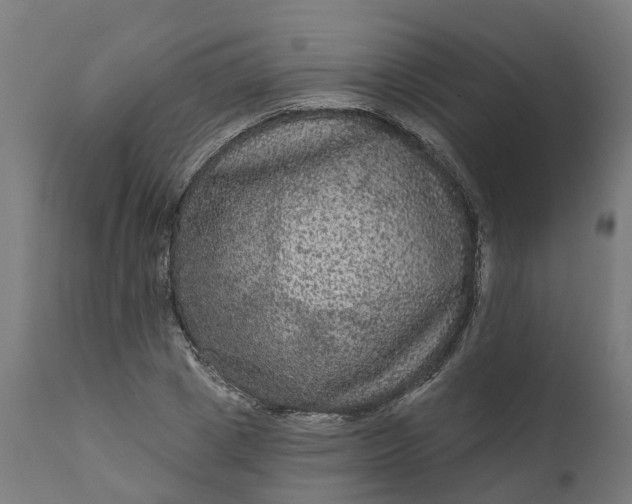 X0000111640833200907311250