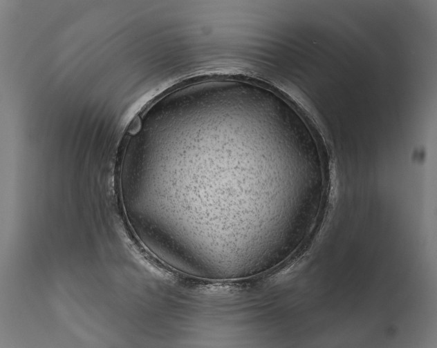 X0000111640834200907311250