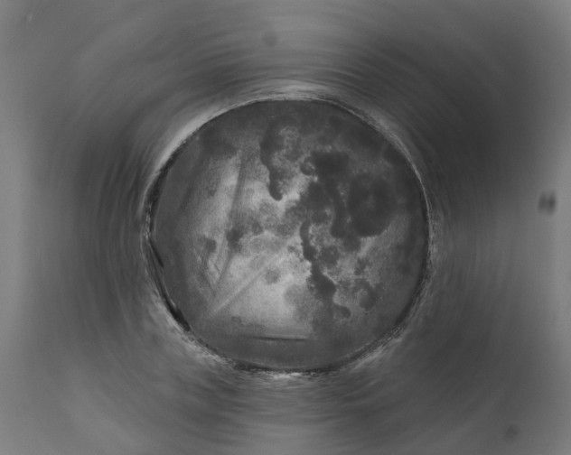 X0000111640835200907311250