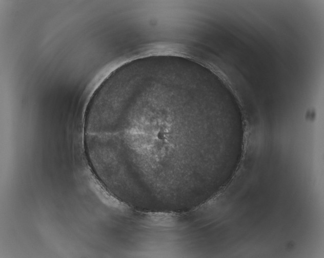 X0000111640836200907311250