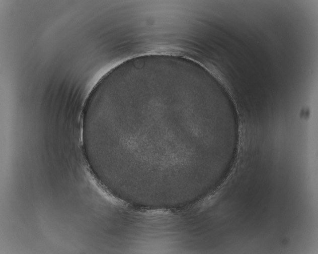 X0000111640838200907311250